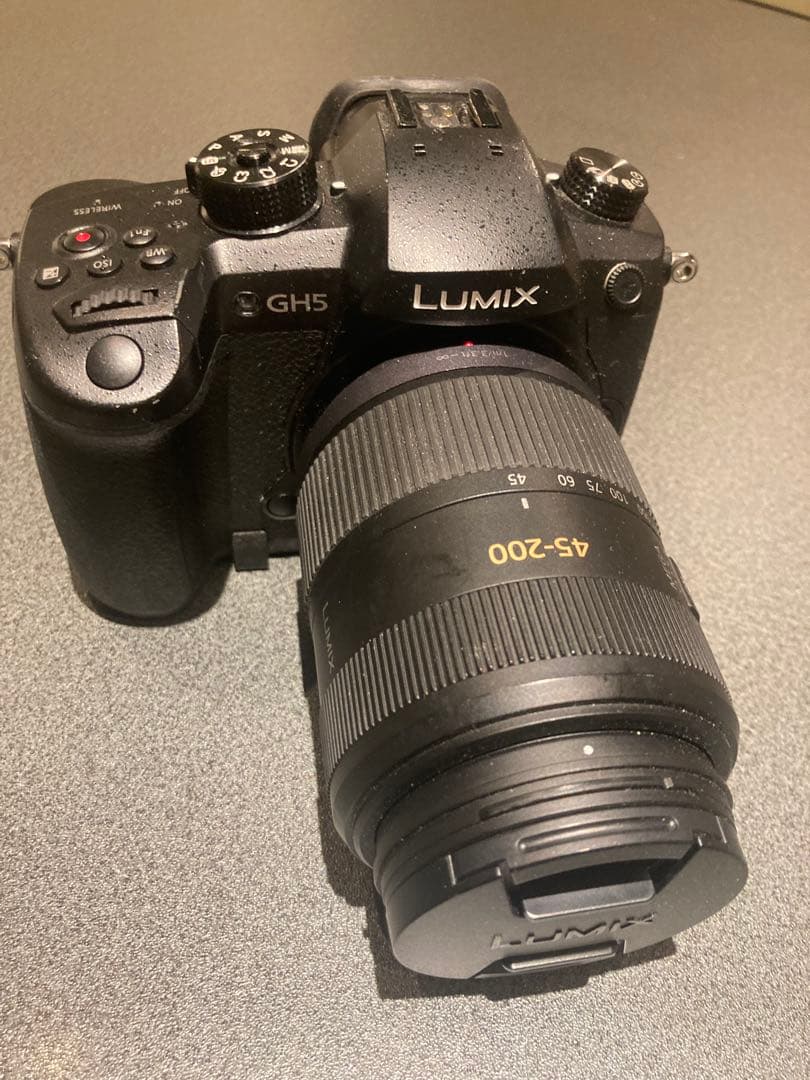 LUMIX GH5 + 45-200mmレンズ