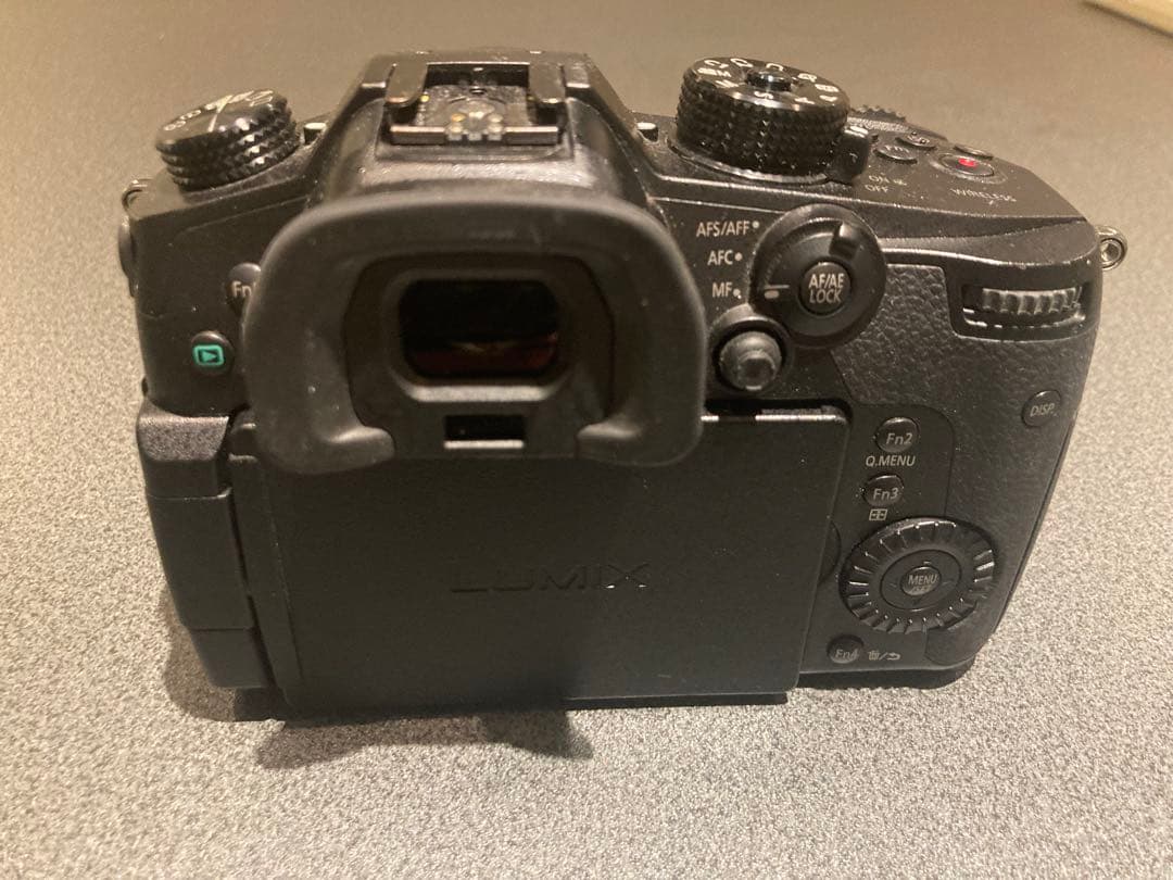 LUMIX GH5 + 45-200mmレンズ