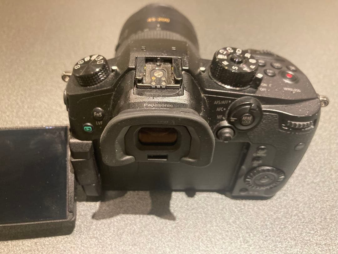 LUMIX GH5 + 45-200mmレンズ