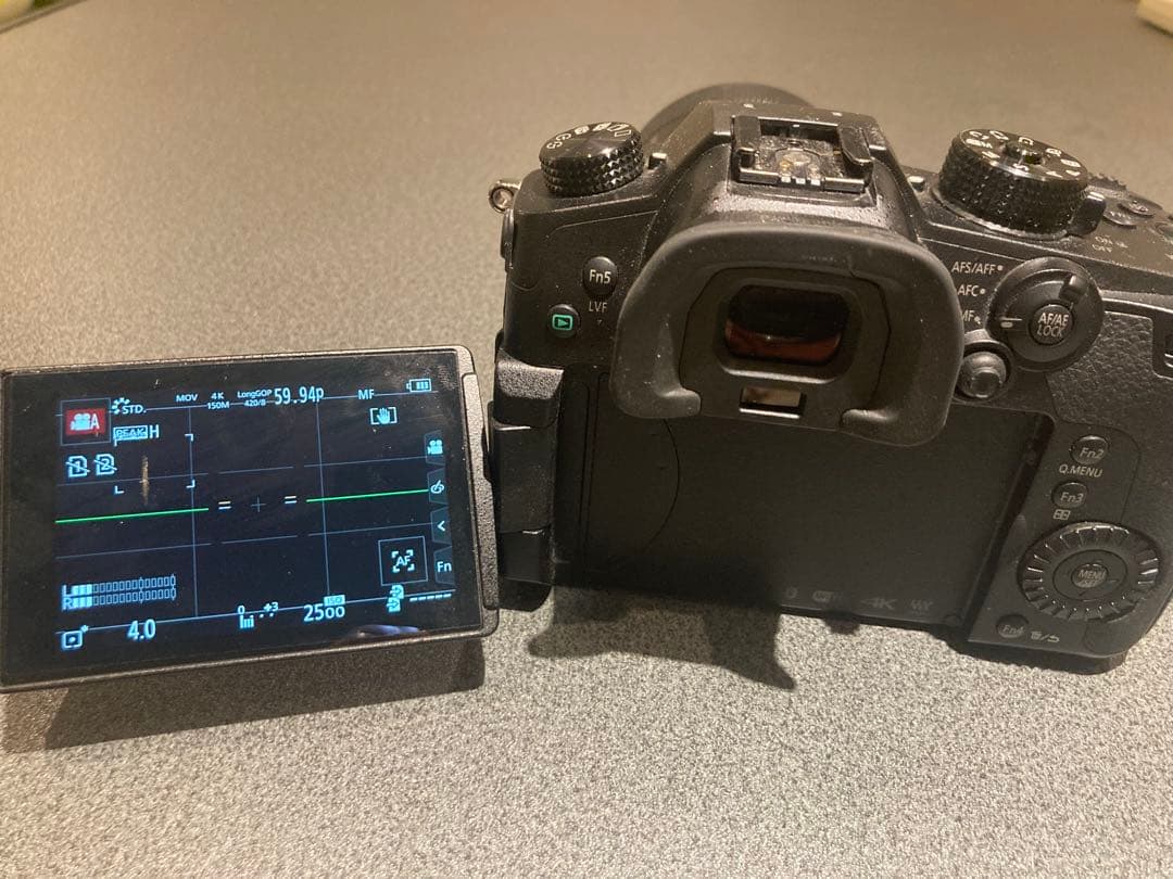 LUMIX GH5 + 45-200mmレンズ