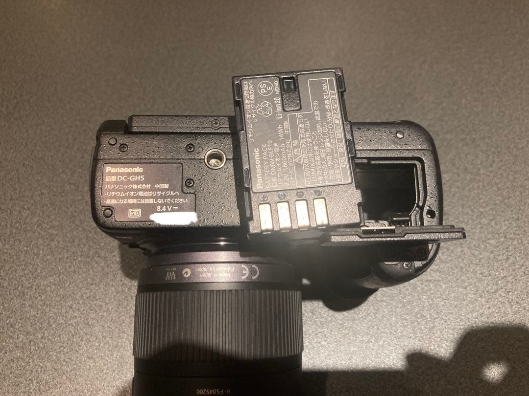 LUMIX GH5 + 45-200mmレンズ