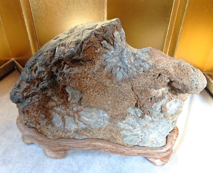 菊花石 岐阜県根尾谷産 川ずれ3.2キロ 鑑賞石 観賞石 自然石 天然石 置物