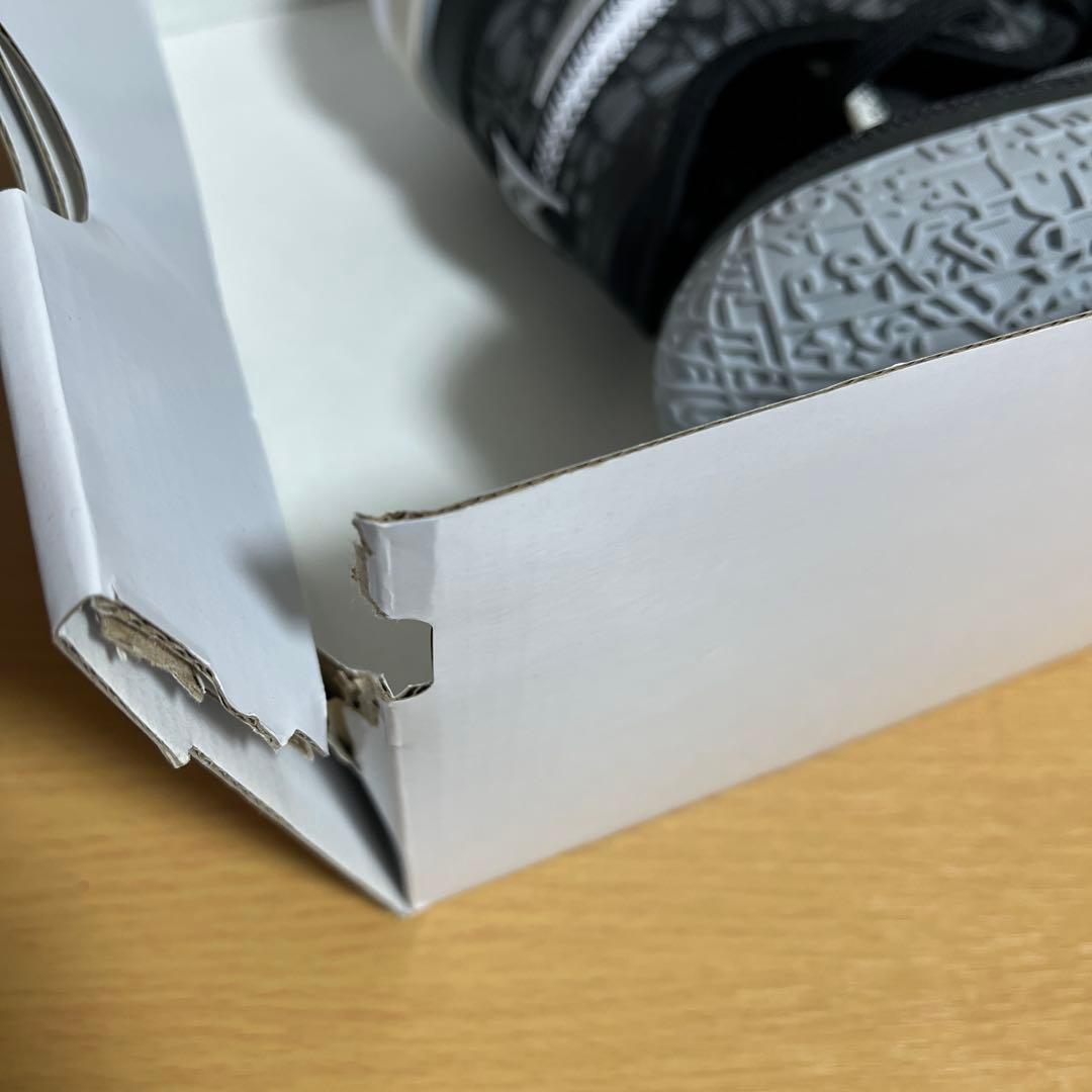 新品 ZOOM LEBRON NXXT GEN EP 黒 29cm