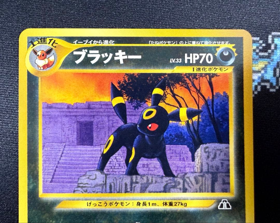 ★ポケモンカードneo 旧裏 ブラッキー LV.33 プレミアムファイル★