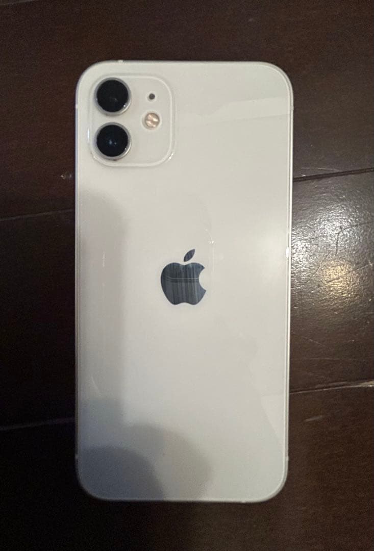 Apple iPhone 12 本体