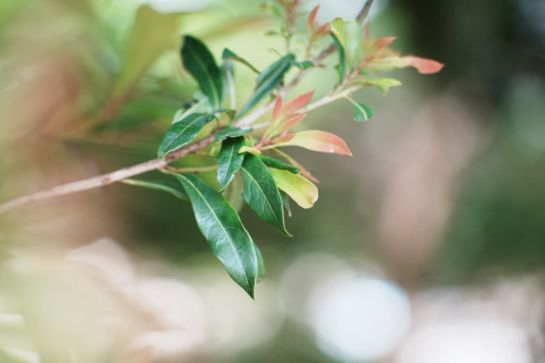 【美品】動作◎ ニコン Ai-s Nikkor 105mm F2.5 601