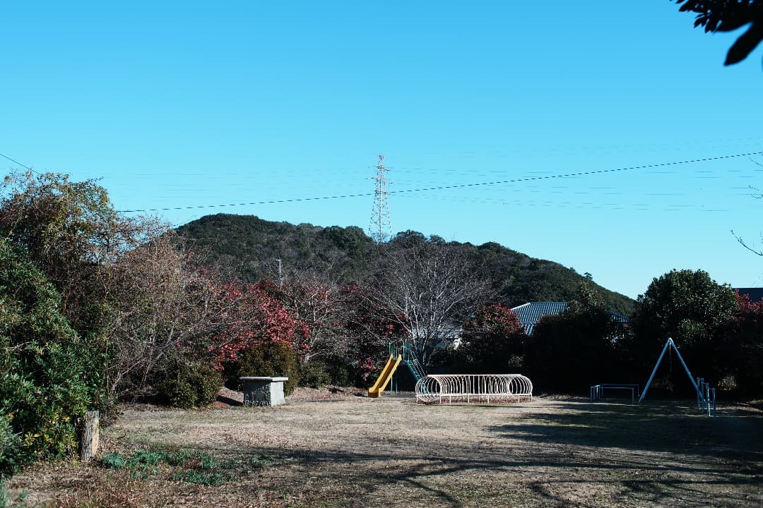 【整備テスト】Nikon Nikkor-o c auto 35mm f2 392