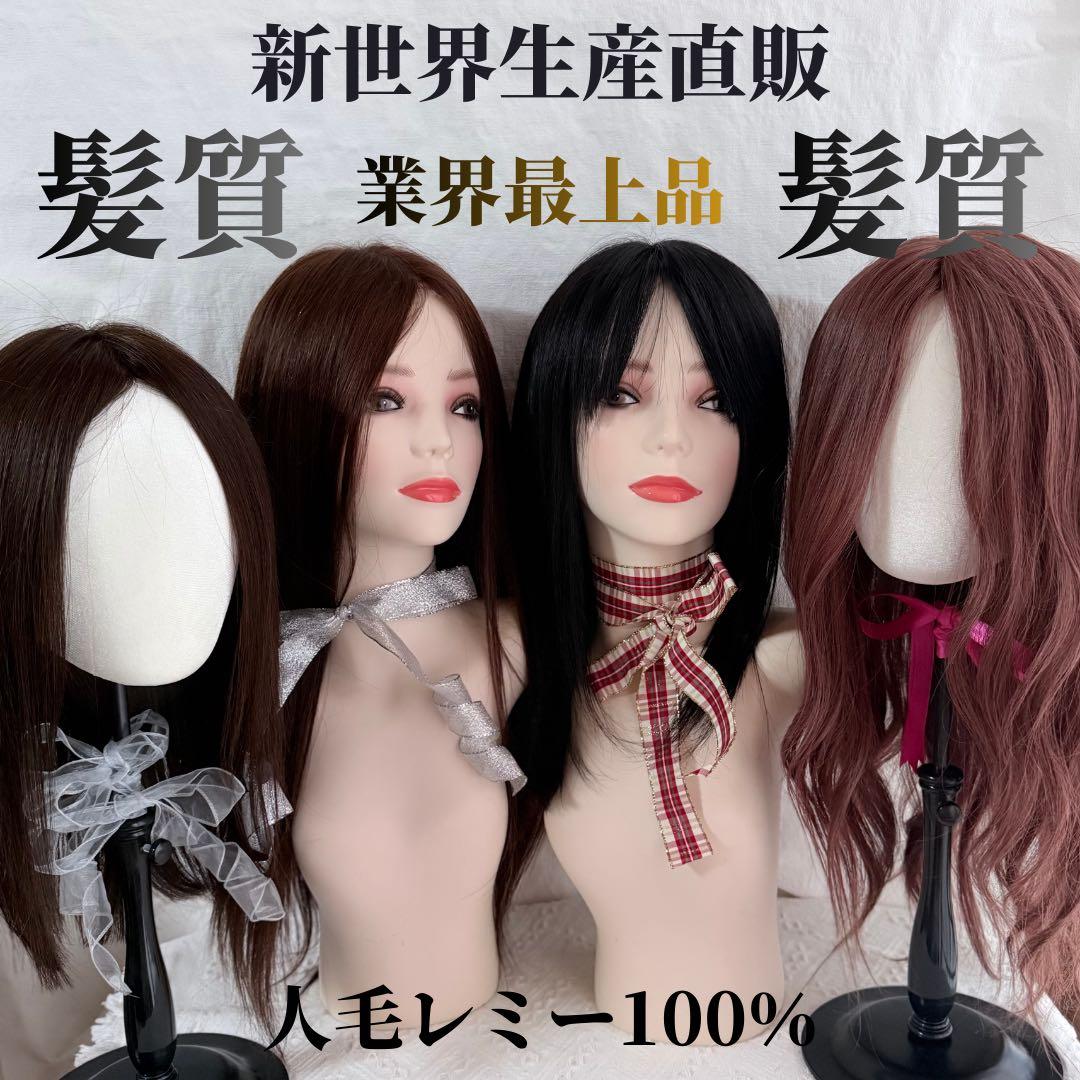 2025新世界　人毛　フルウィッグ　ウィッグ　シルクスキン　医療ウィッグ　レミー