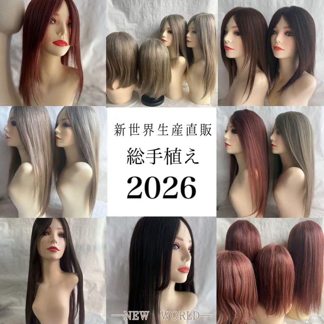 2025新世界　人毛　フルウィッグ　ウィッグ　シルクスキン　医療ウィッグ　レミー