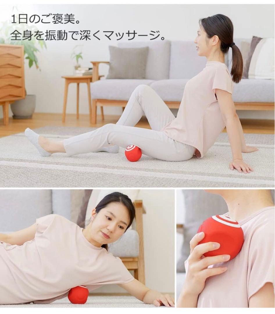 [新品未使用]スタイリーボール　オアシス　東急スポーツ　ネイビー　フィットネス