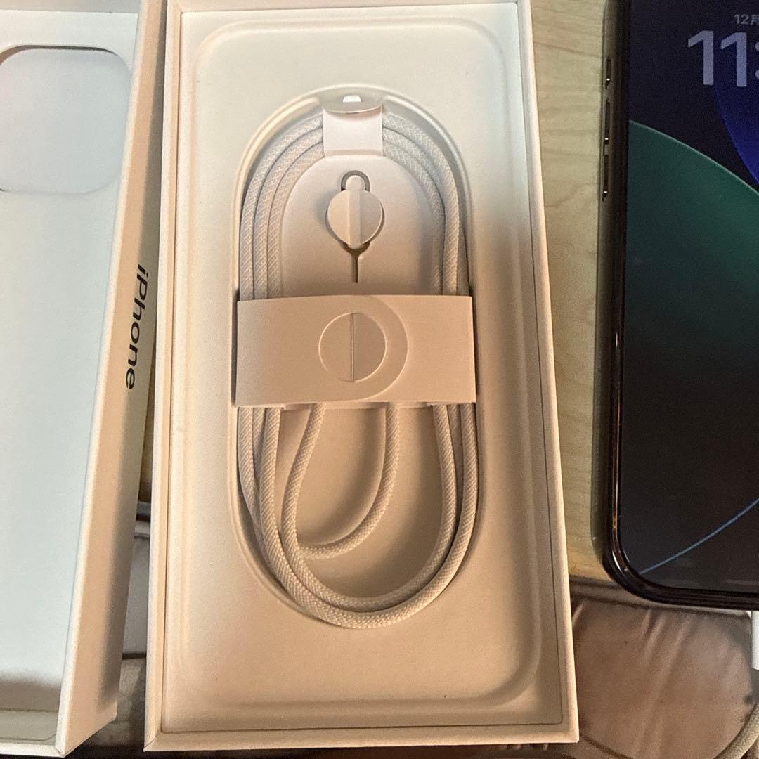 iPhone16promax 256GB simフリー　100% サイタマさん