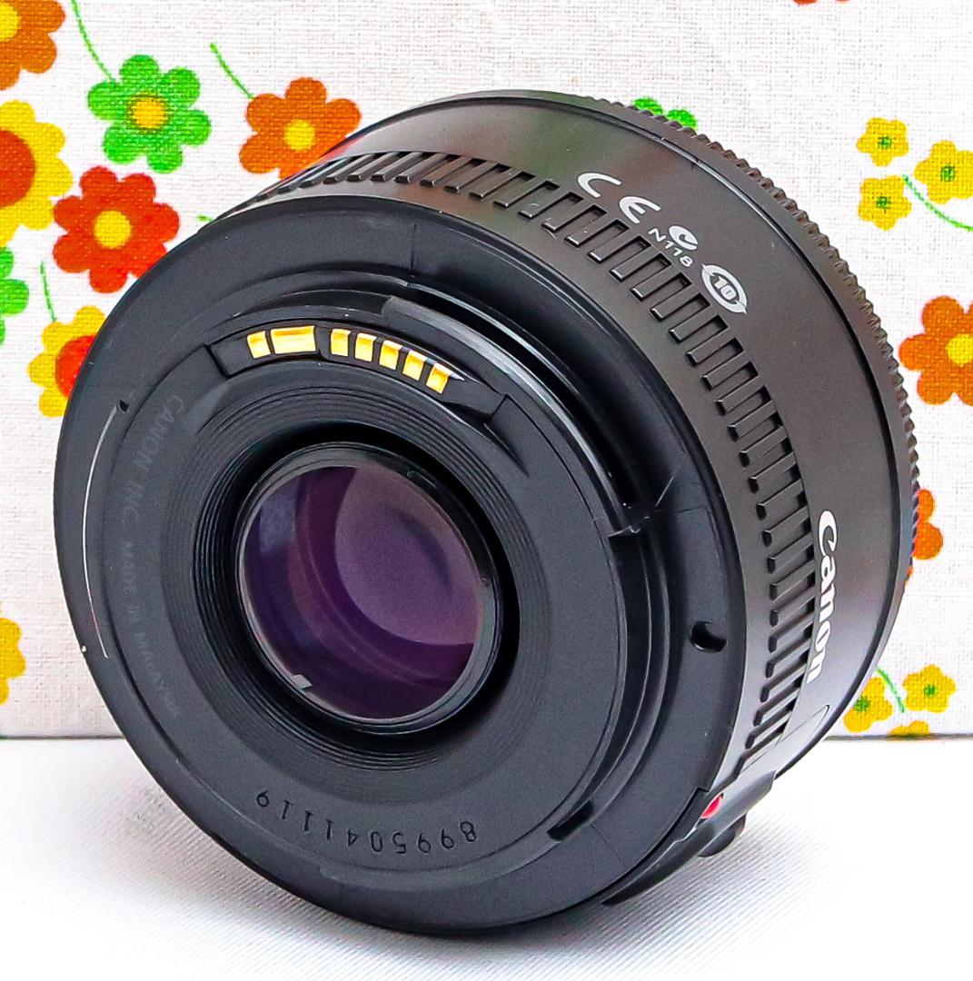 キャノン Canon EF 50mm F1.8 Ⅱ☆単焦点レンズ☆神レンズ