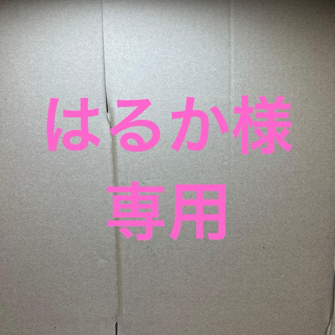 専用　オーディオテクニカ ATH-E70