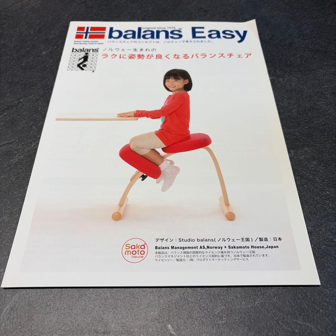 バランスチェア　サカモトハウス