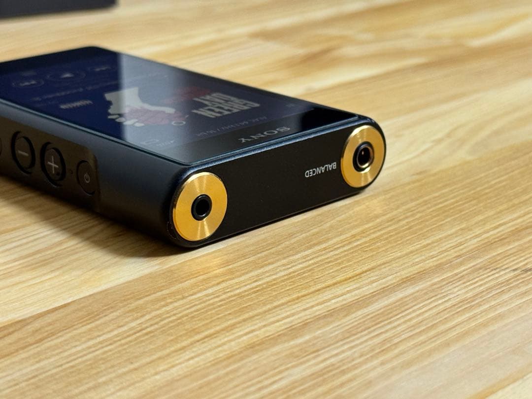 SONY ウォークマン NW-WM1A フラッグシップ 動作確認済み