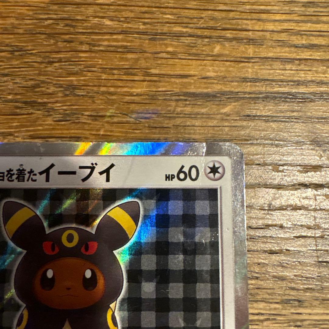 ポンチョを着たイーブイ ブラッキー プロモ 141/SM-P