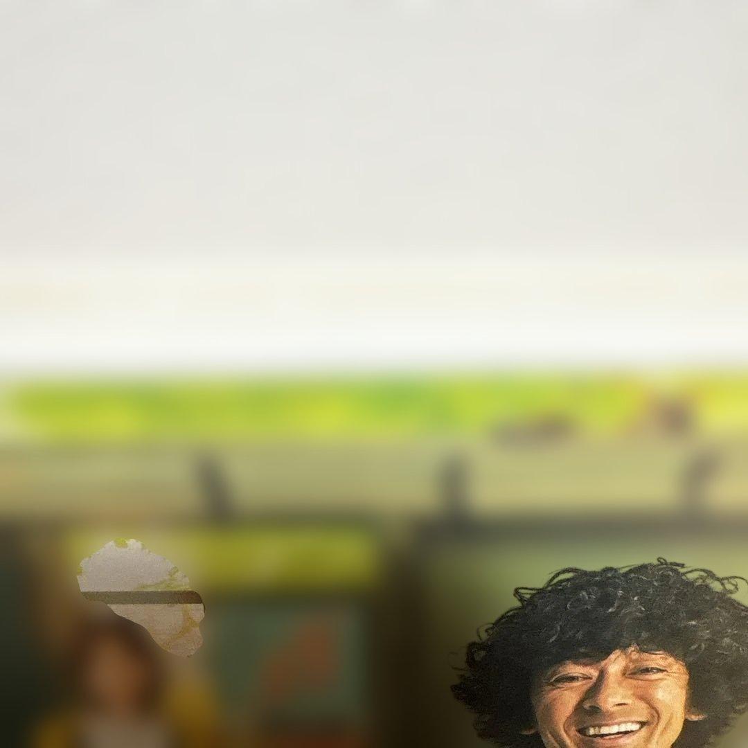 コタキ兄弟と四苦八苦 DVD BOX