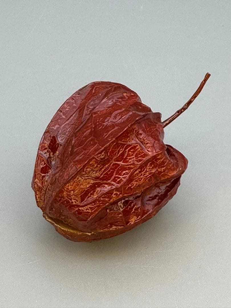 のんびり茶道具　香合　前端春斎　ホウヅキ