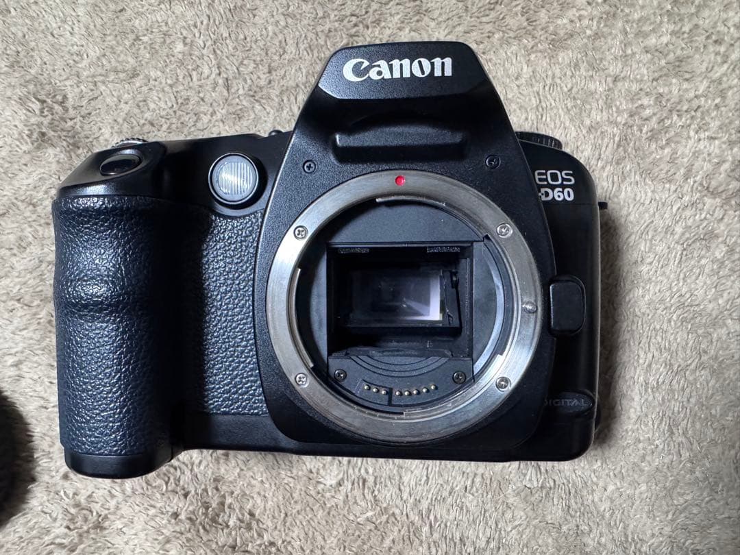 Canon EOS D60 バッテリーグリップ　ストロボ、レンズ付