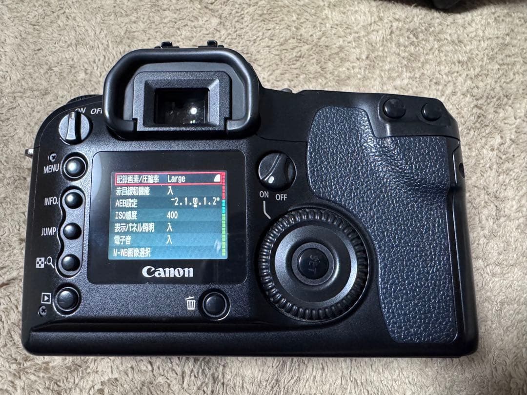 Canon EOS D60 バッテリーグリップ　ストロボ、レンズ付