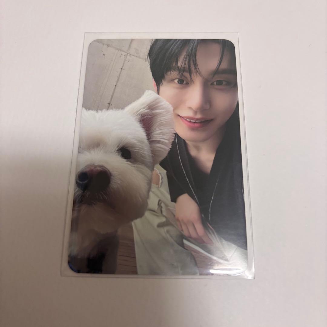 ZEROBASEONEキムジウン トレカ