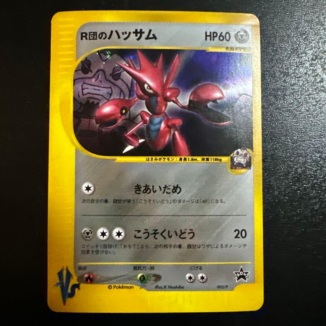 R団のハッサム トレーナーズ vol.12 PROMO eプロモ 002/P