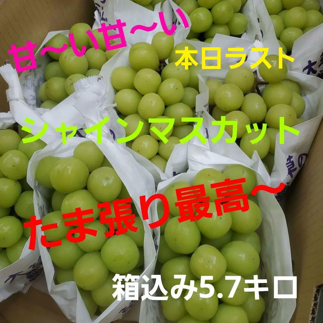7️⃣8️⃣ 山梨県産 シャインマスカット 箱込み5.7キロ