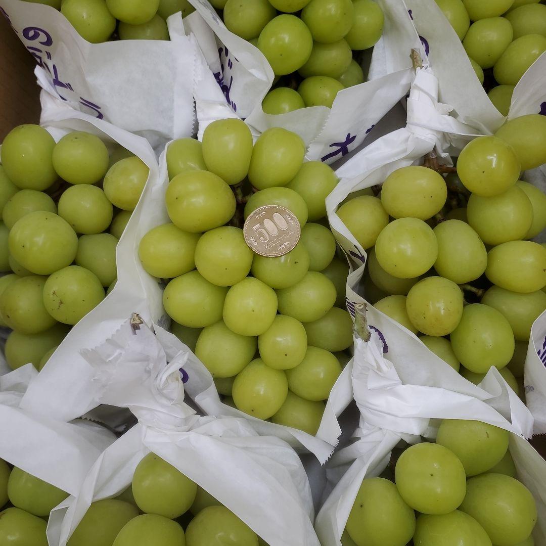 7️⃣8️⃣ 山梨県産 シャインマスカット 箱込み5.7キロ