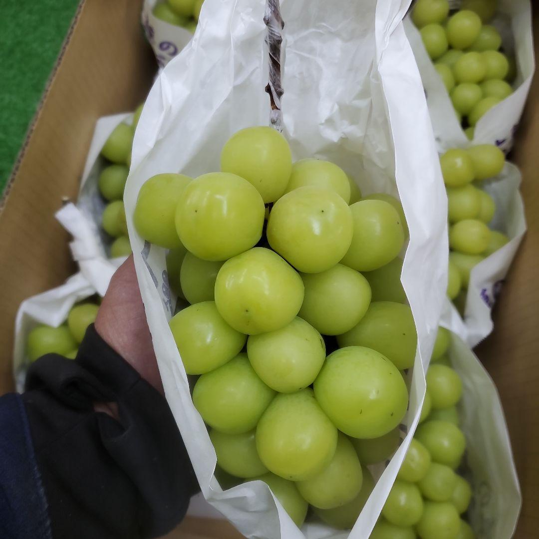 7️⃣8️⃣ 山梨県産 シャインマスカット 箱込み5.7キロ