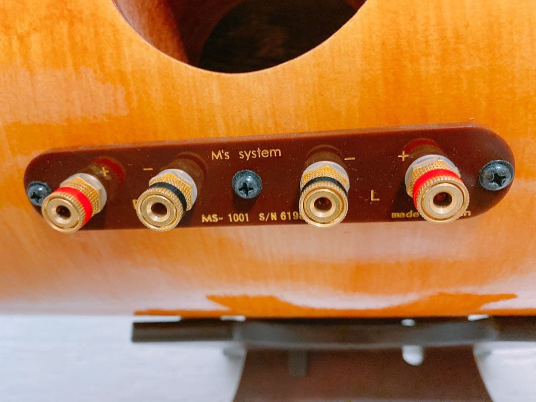 M'S System MS1001 波動スピーカー　①