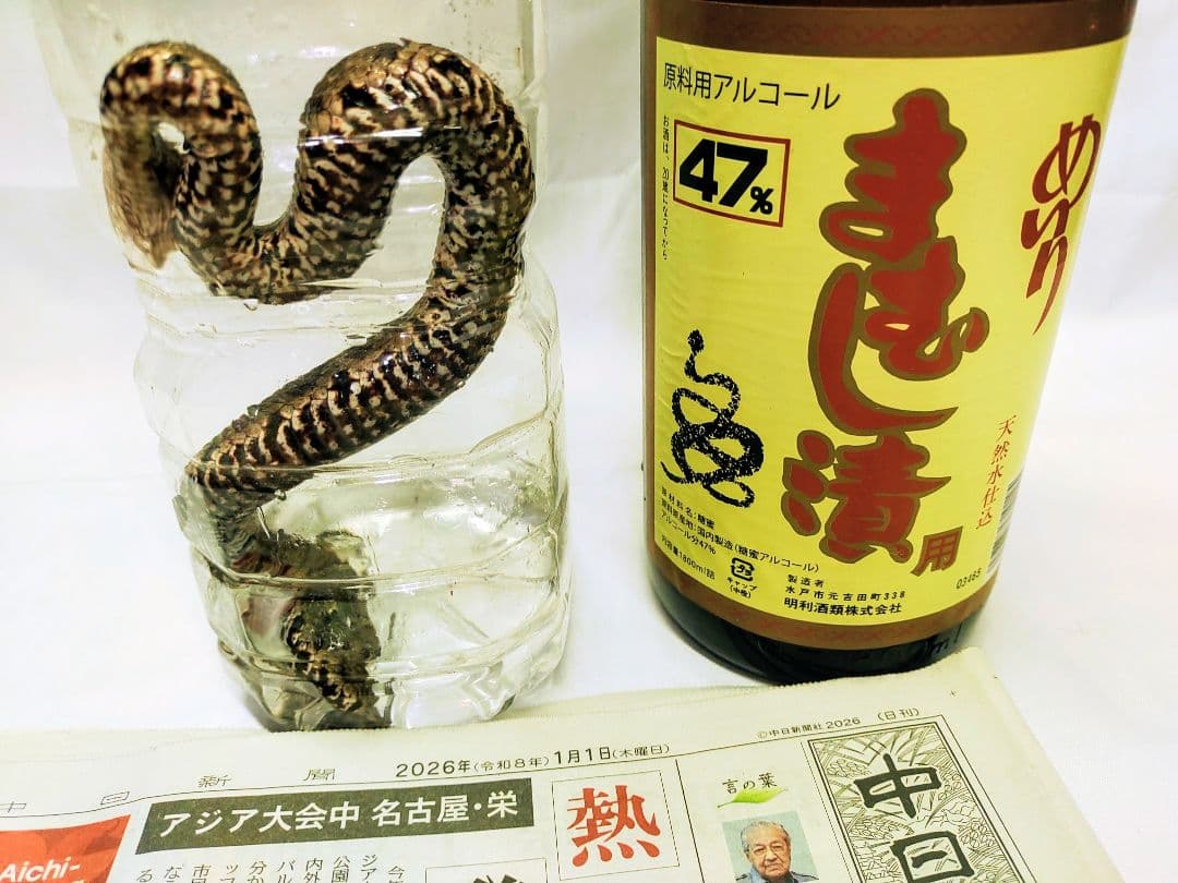 まむし焼酎！2026令和8年