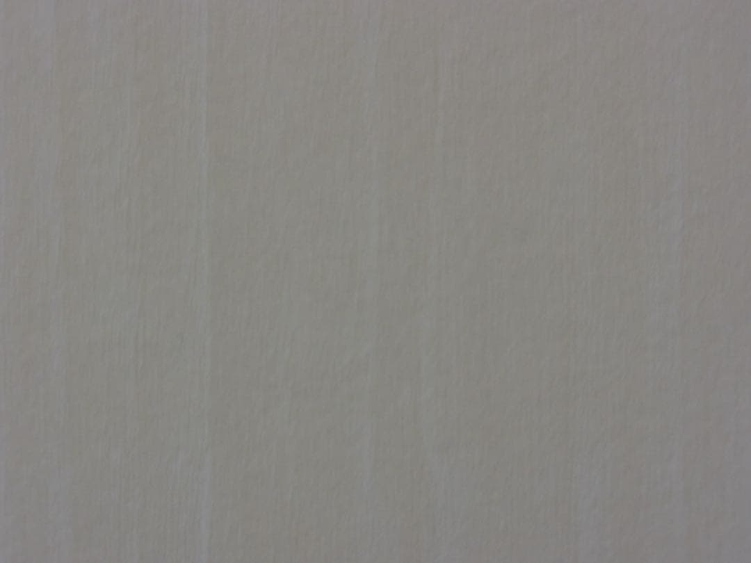 RICOH CX3 デジカメ