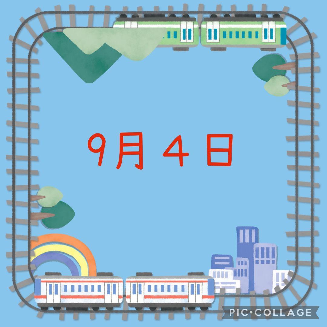 ひまうい様　8.19 金魚　レジンヘアゴム　影　黒い奴　和柄アロハ