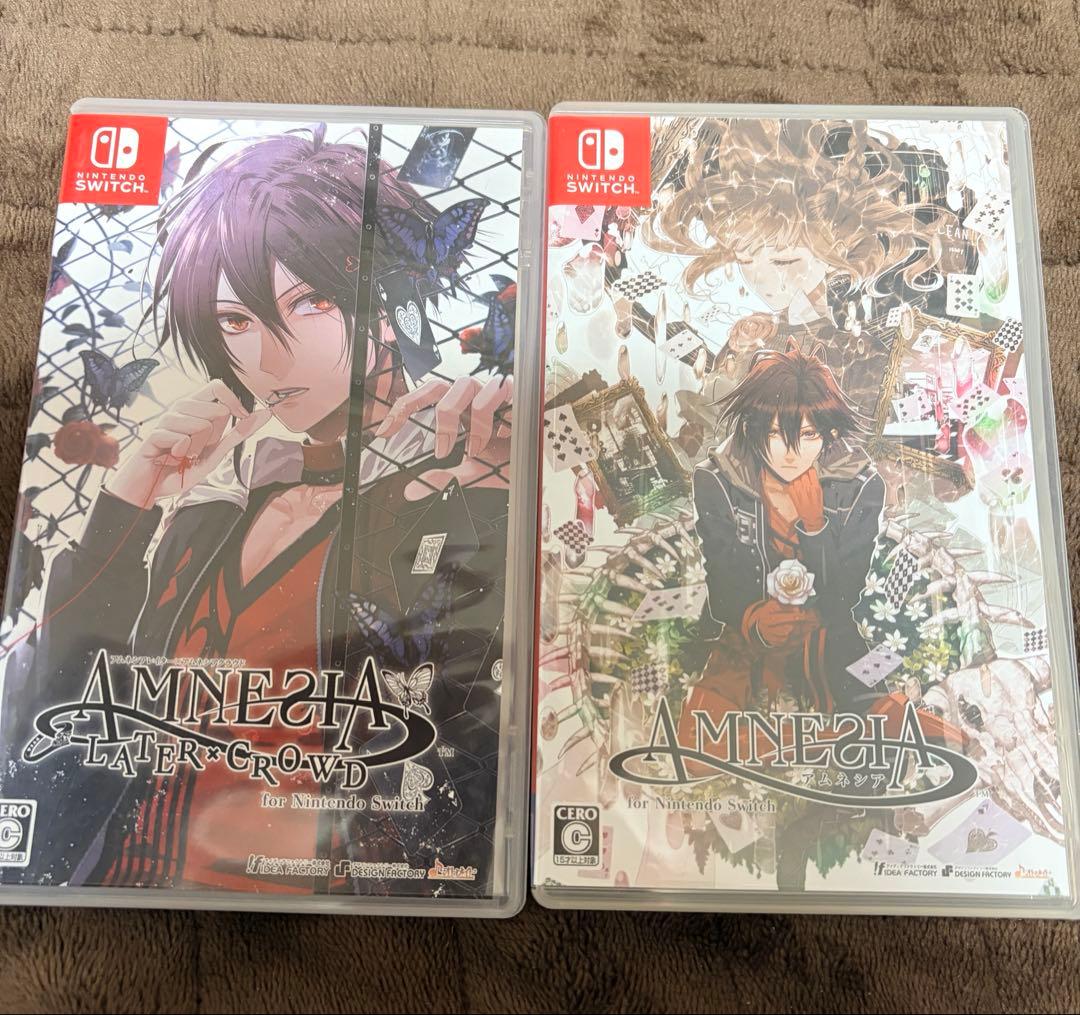 c*l様 AMNESIA （アムネシア）Switch版 2本セット