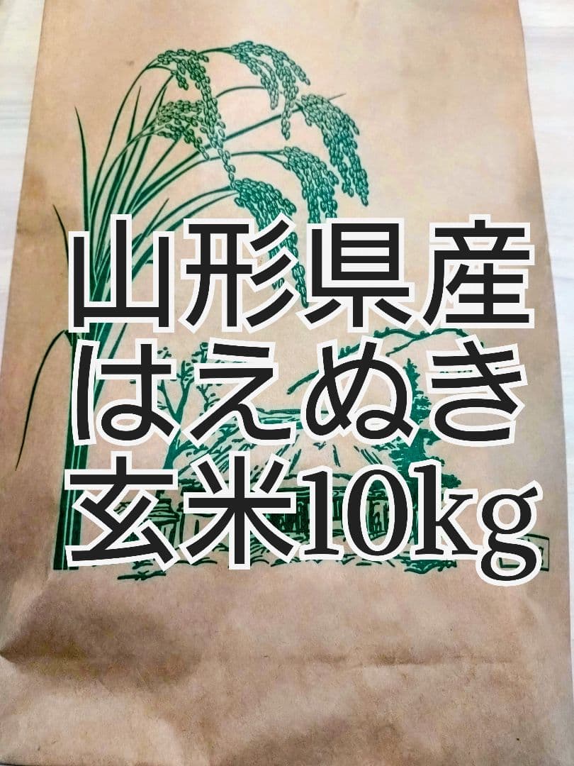 山形県産はえぬき　10kg玄米【令和7年度産一等米】