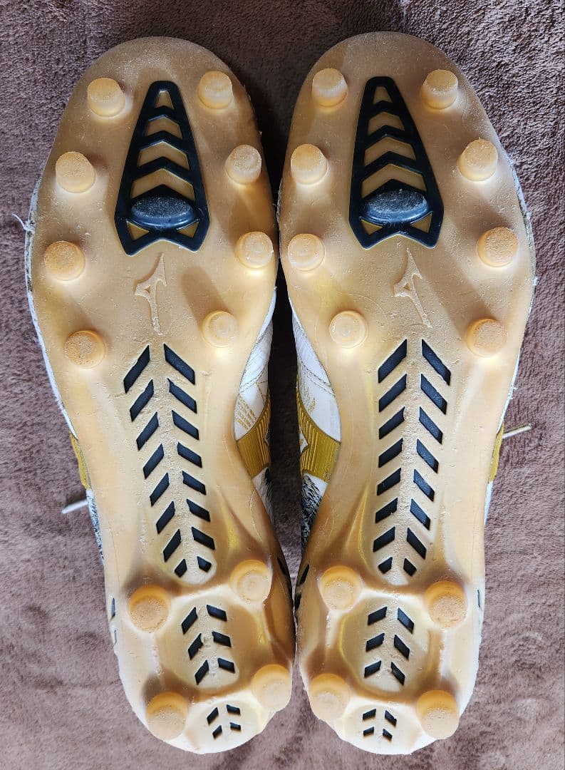 naichandayo MizunoモレリアネオⅢセルヒオラモス