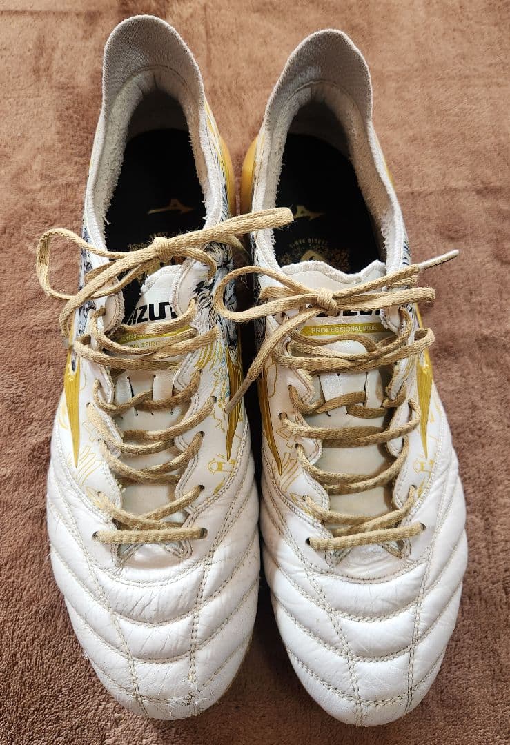 naichandayo MizunoモレリアネオⅢセルヒオラモス