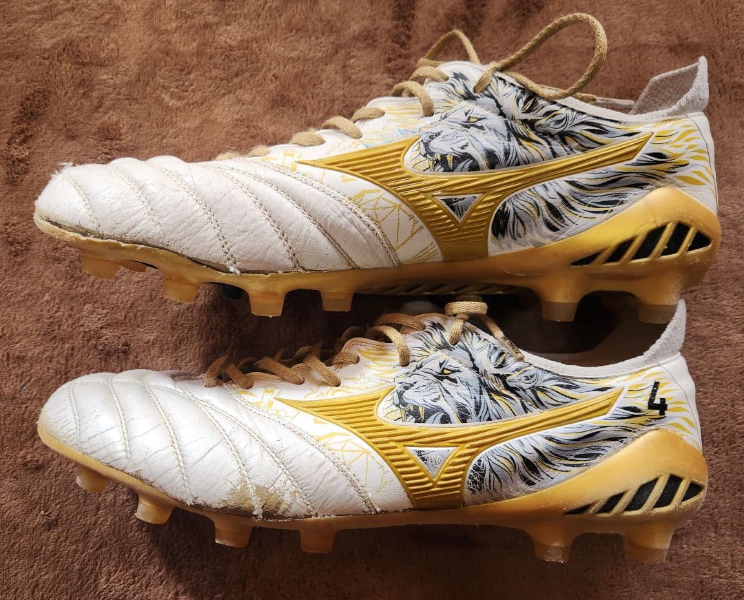 naichandayo MizunoモレリアネオⅢセルヒオラモス